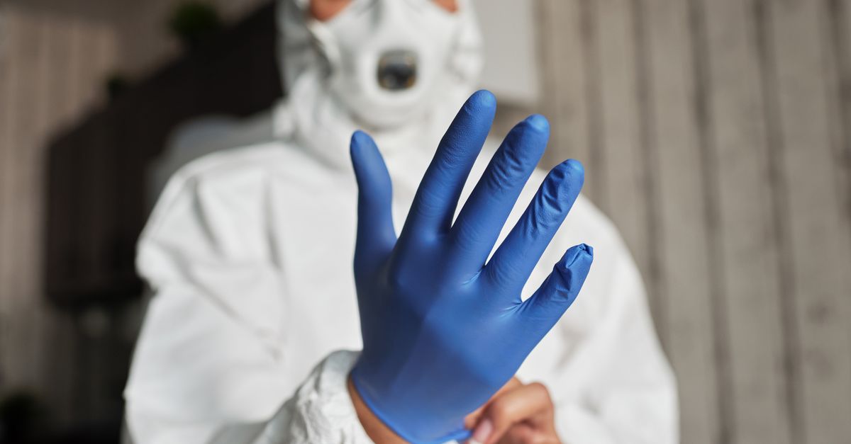 Protective gloves. Photo by Matilda Wormwood on Pexels.