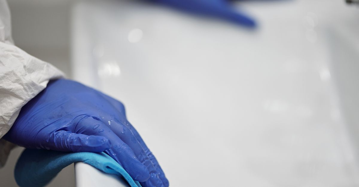 Protective gloves. Photo by Matilda Wormwood on Pexels.