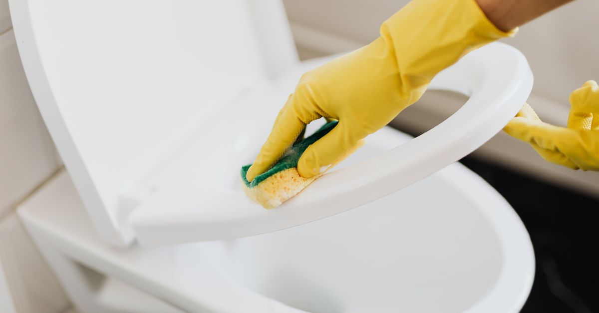 Protective gloves. Photo by https://kaboompics.com/ on Pexels.