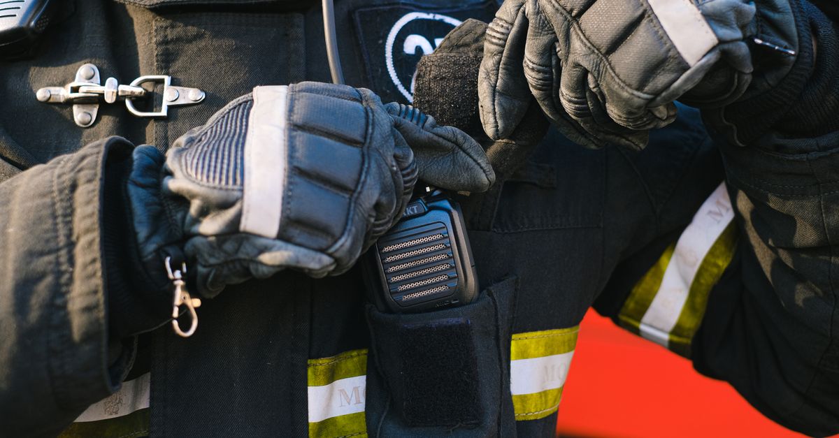 Protective gloves. Photo by Anna Shvets on Pexels.