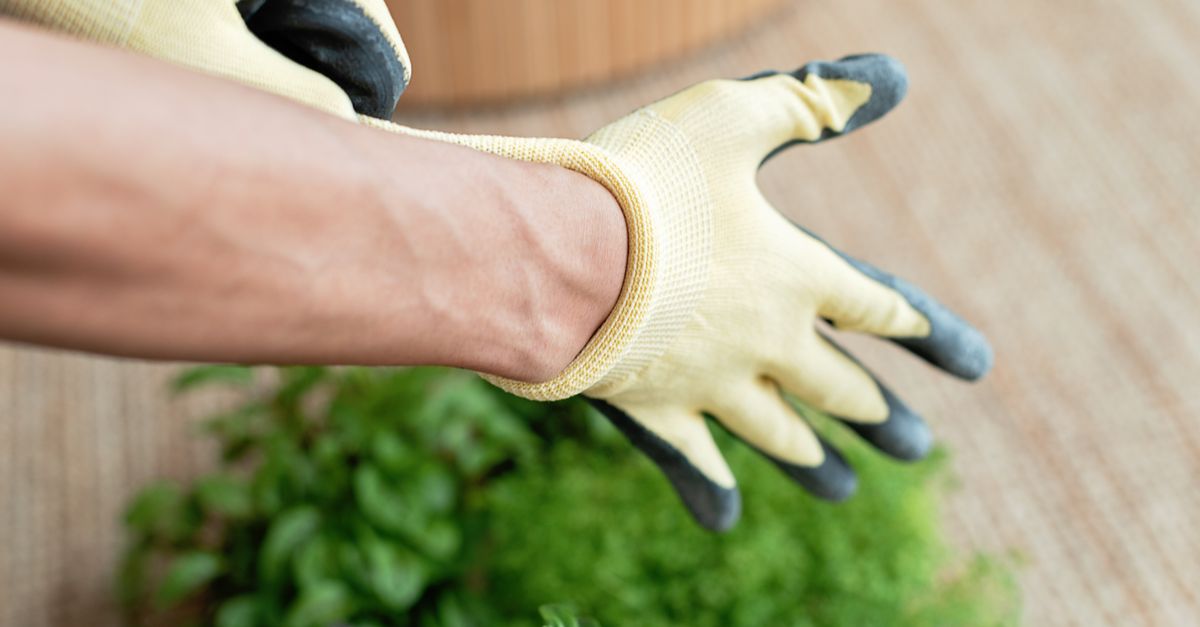Protective gloves. Photo by Mikhail Nilov on Pexels.