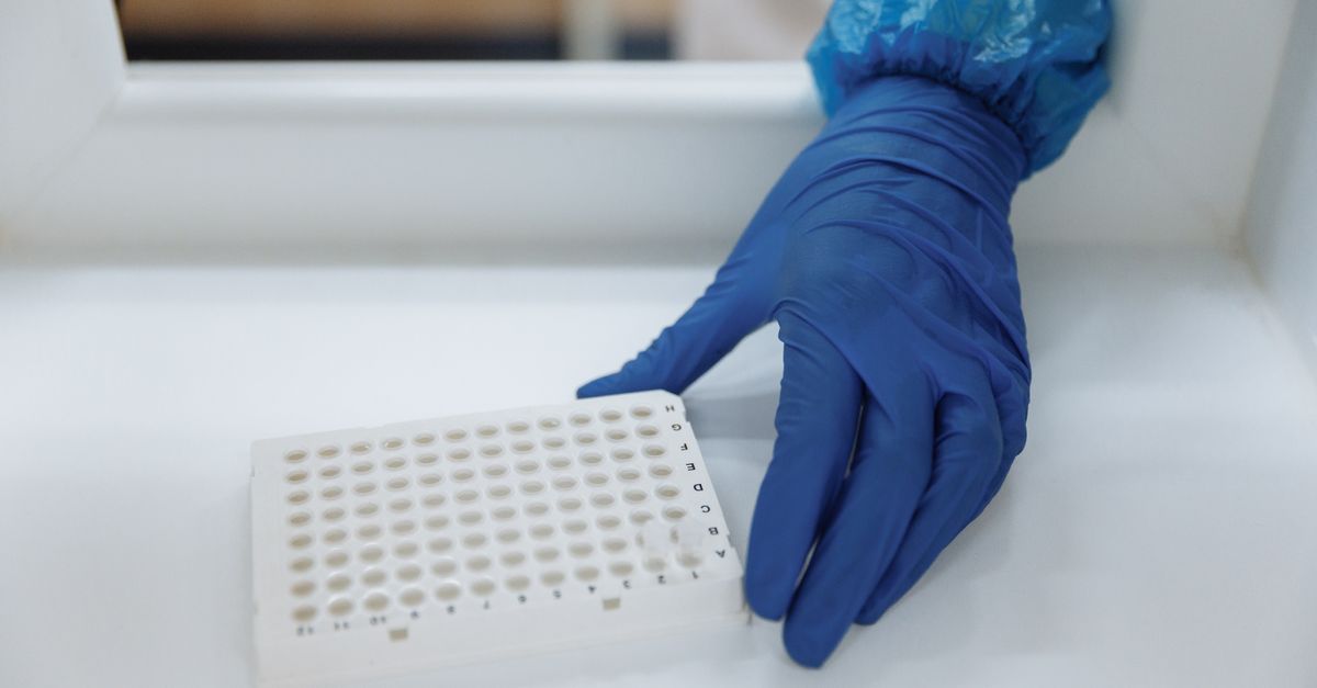 Protective gloves. Photo by Thirdman on Pexels.